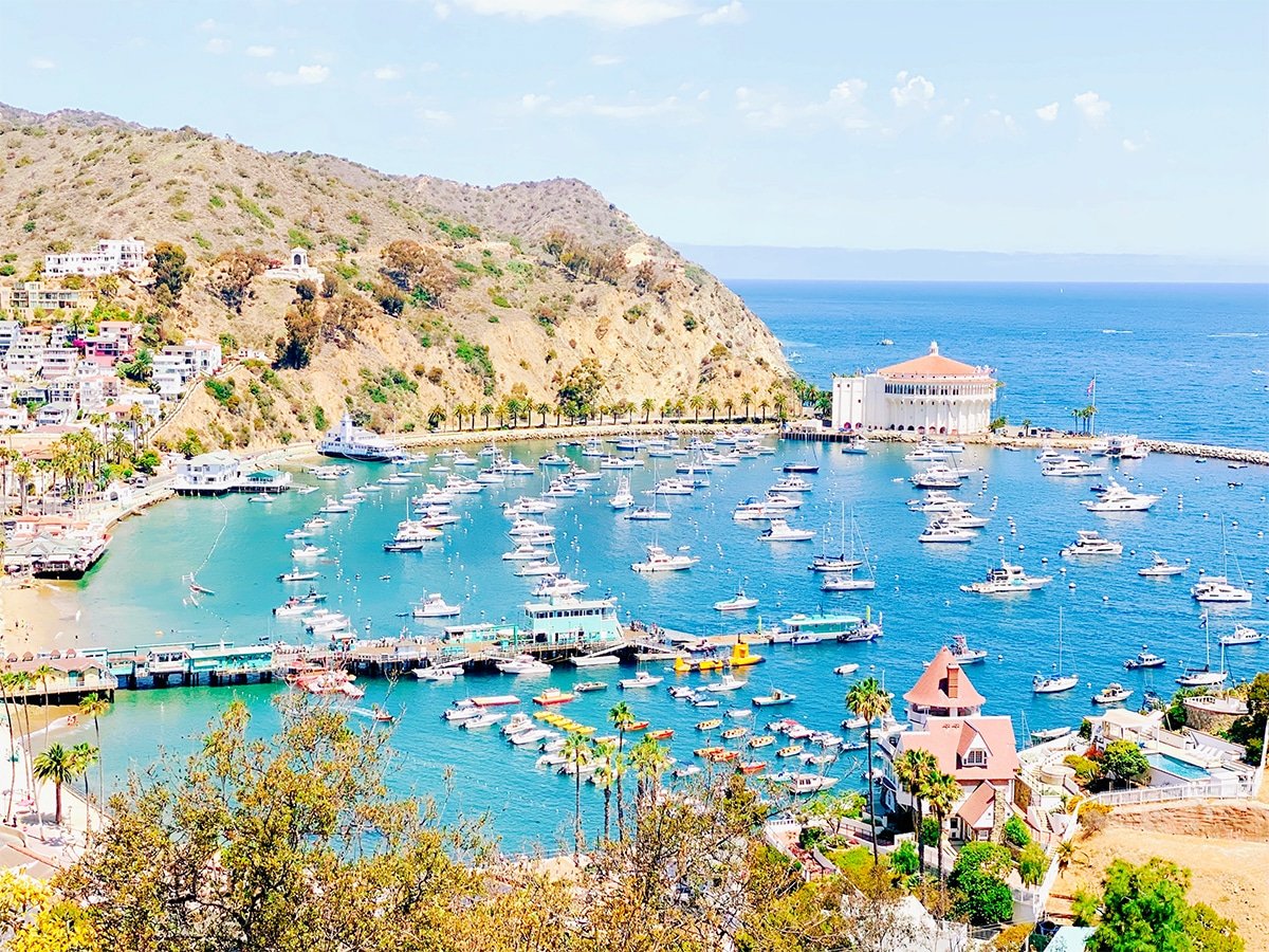 best day to visit catalina island