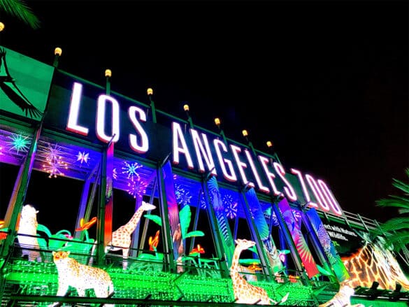 The L.A. Zoo Lights: Animals Aglow Exhibit is a Dazzling Display and ...