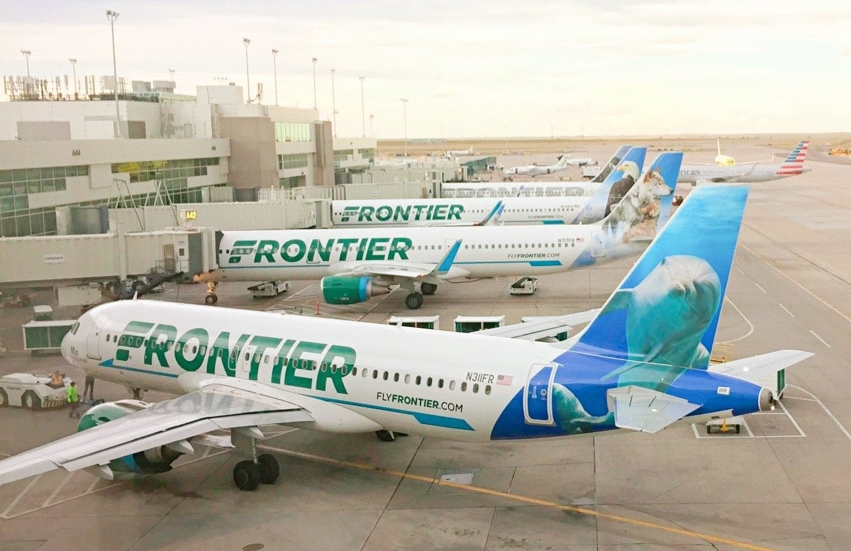 Fly frontier pet clearance policy