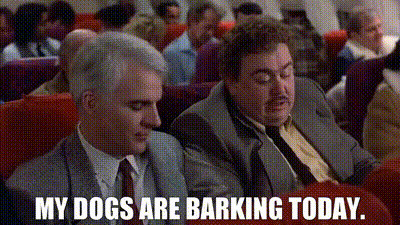 YARN | My dogs are barking today. | Planes, Trains & Automobiles (1987) | Video clips by quotes | 64db8739 | 紗