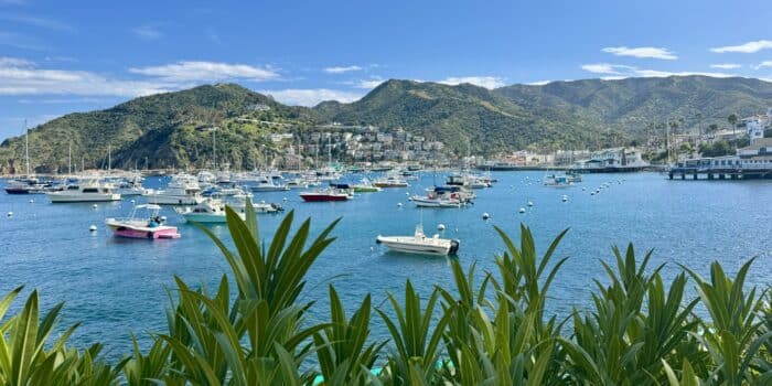 Views from Catalina Island.