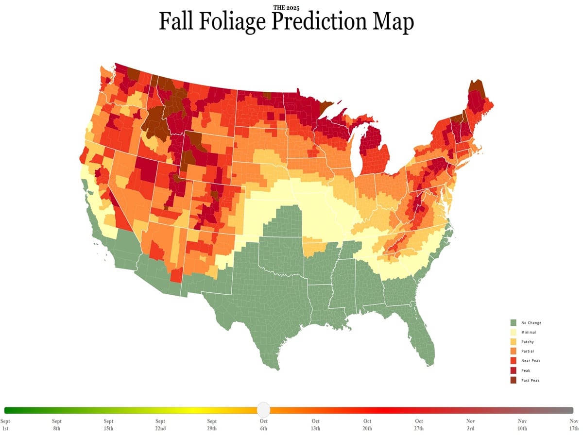 A prediction map for 2025 fall foliage season