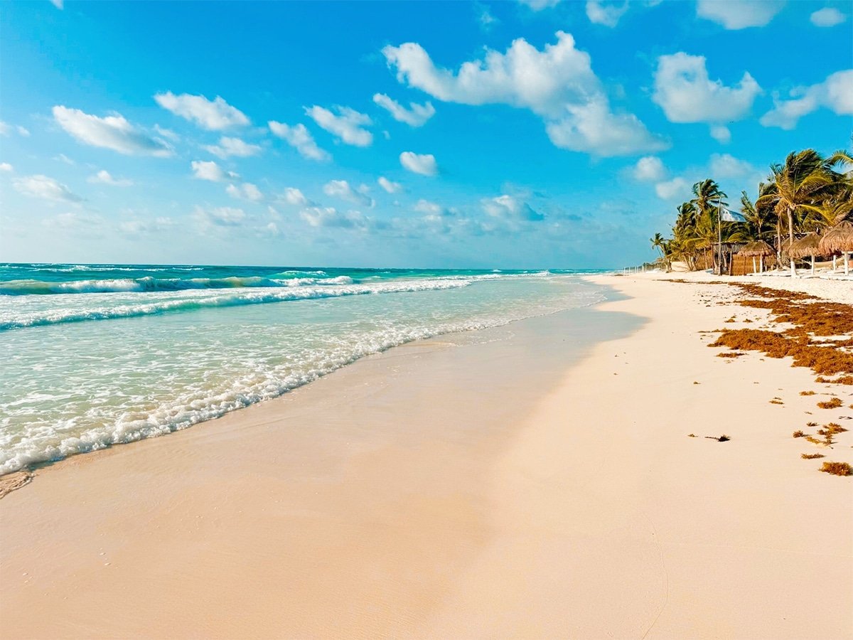 The beach at Lula Tulum in Mexico.