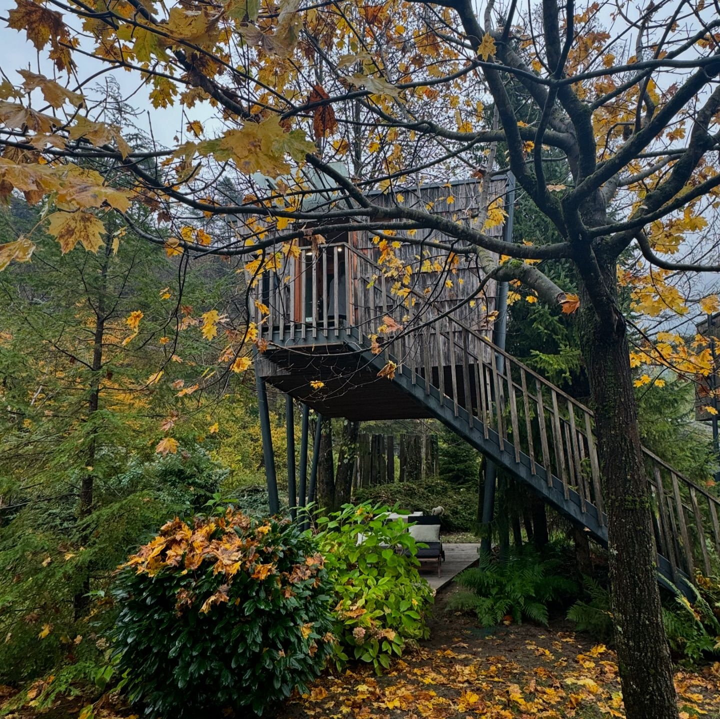 Sleep in the forest near a river in Slovenia at Raduha