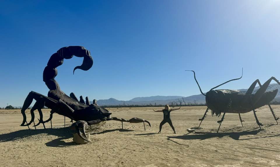 Sculptures in Anza Borrego State Park in California. Galleta Meadows. 