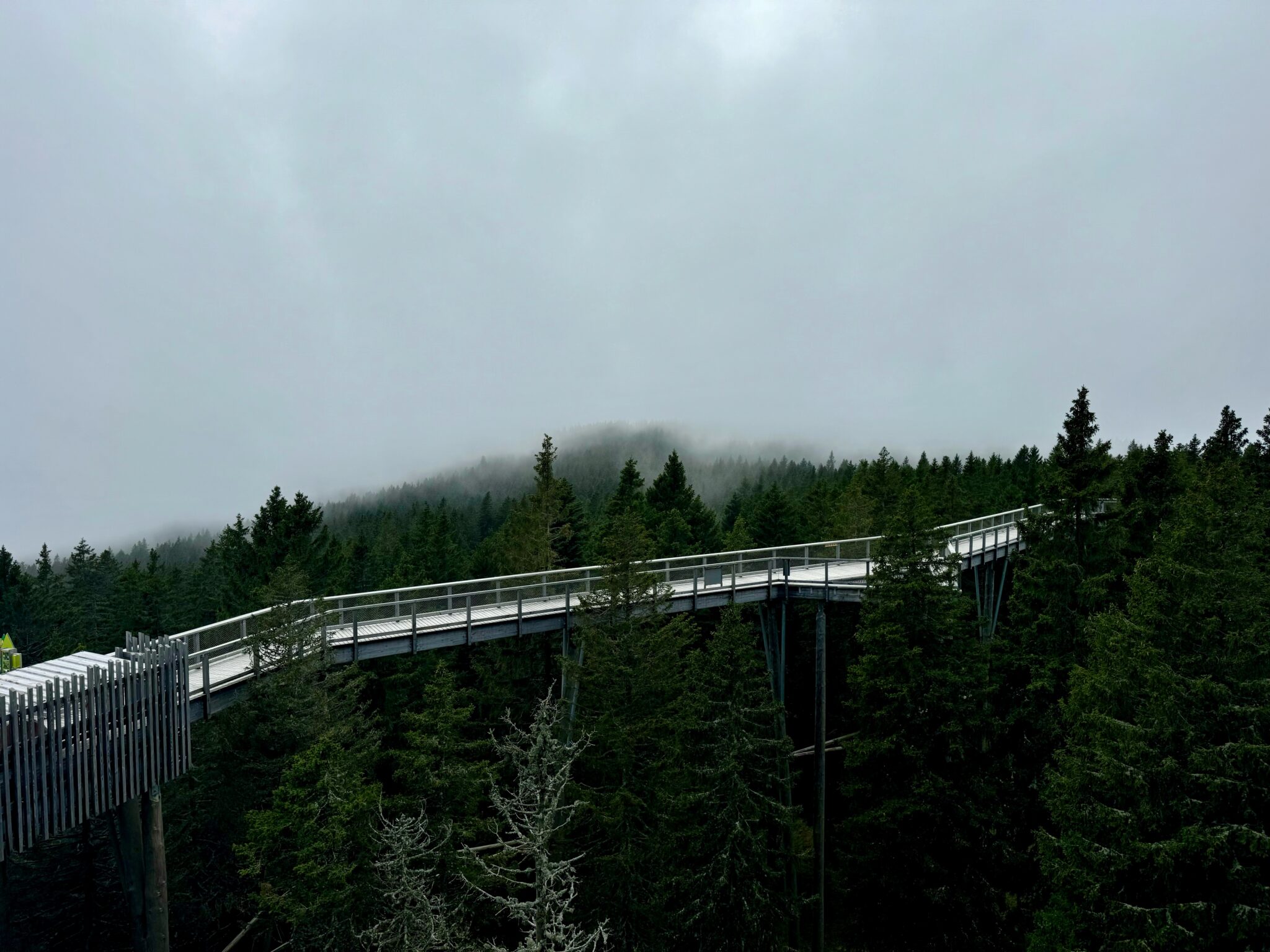 Rogla Treetop Walk in Slovenia