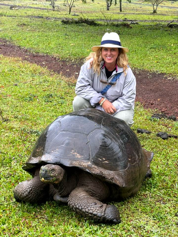 Giant tortoise in the Galapagos