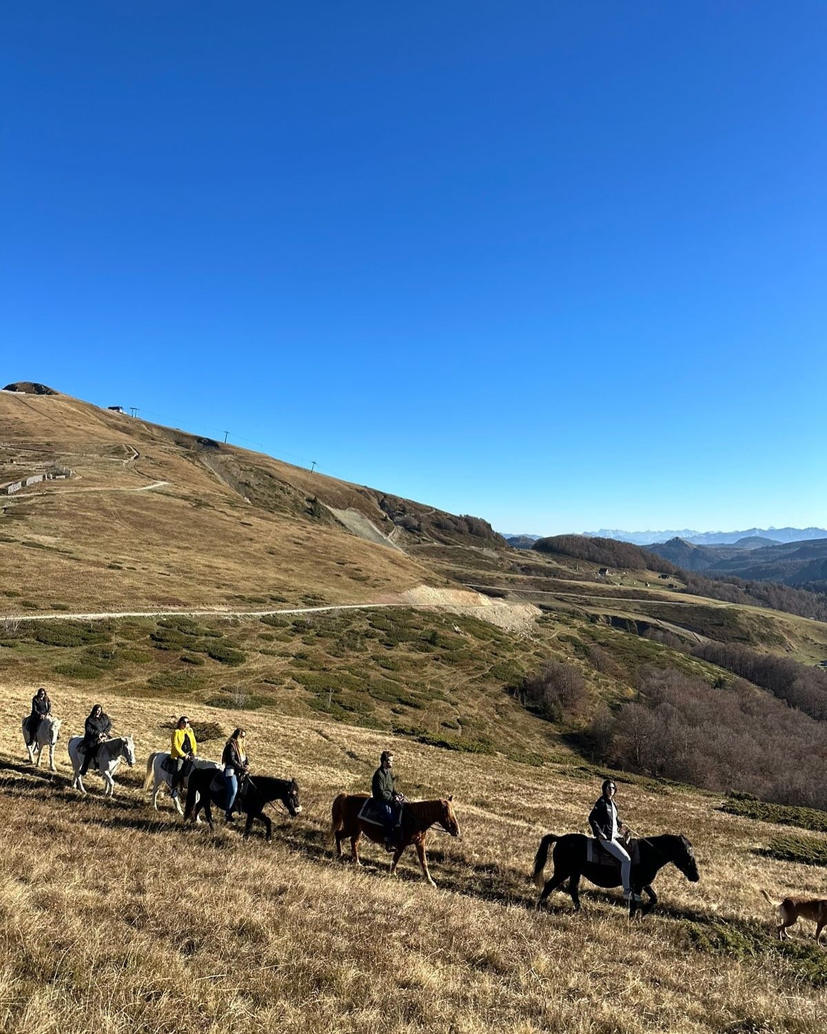 Horseback riding in Montenegro