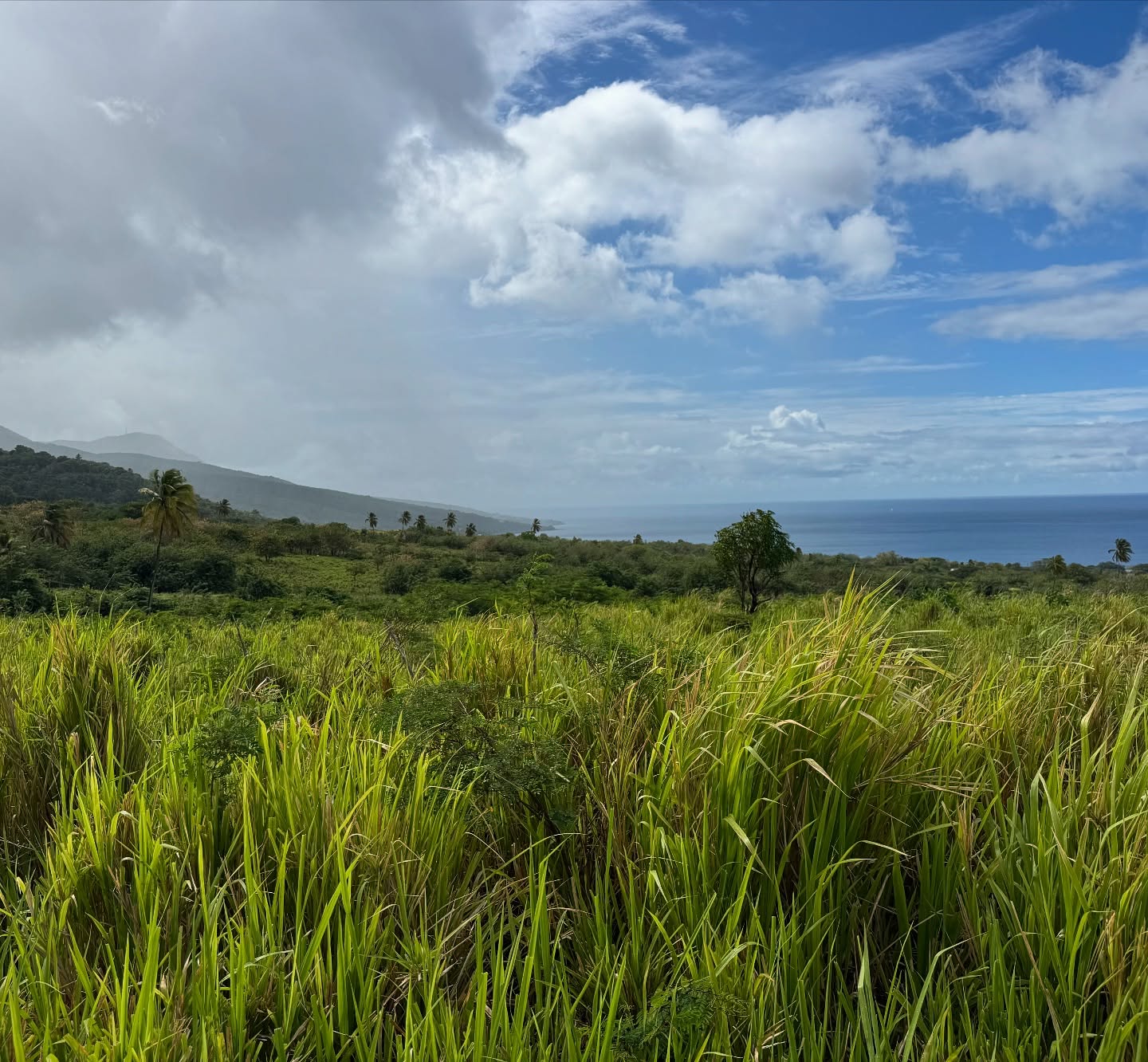 ATV adventure in St Kitts, Caribbean 