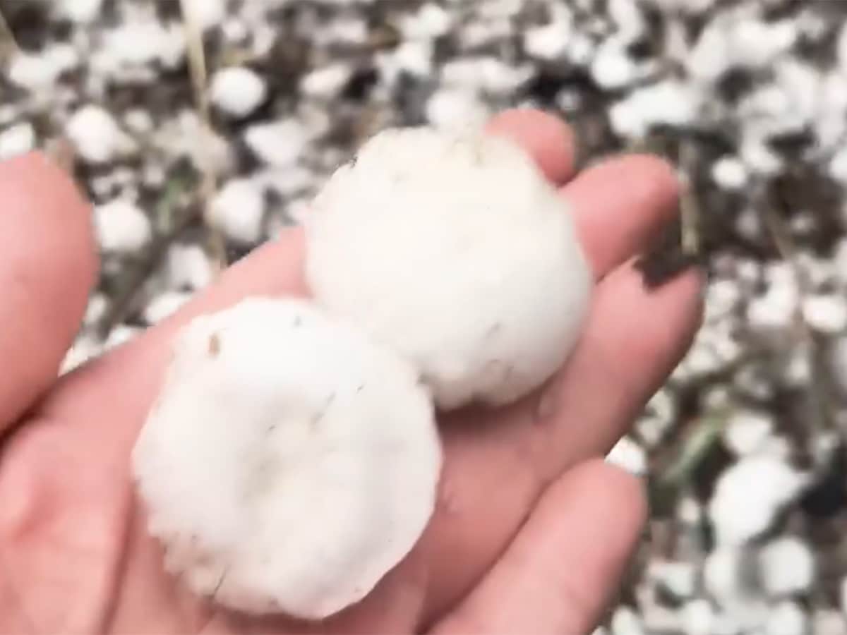 Hailstorm Smashes Car Windows in Midwest
