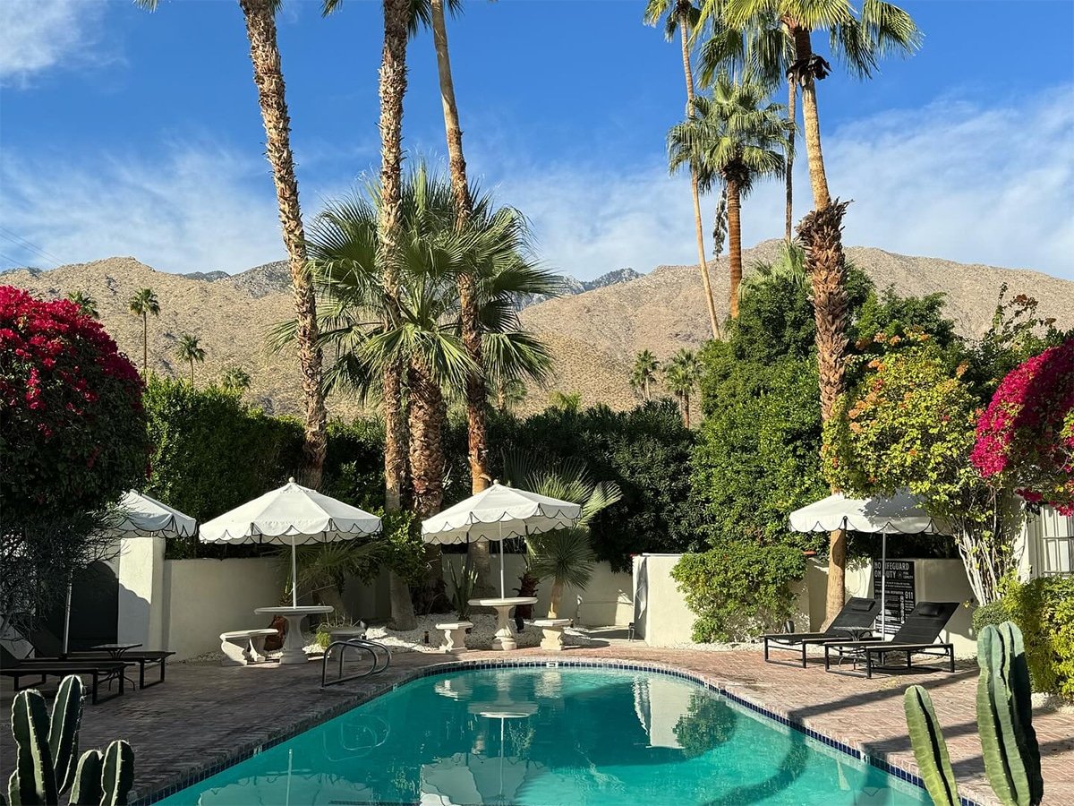 Top Stays in Palm Springs for Every Type of Traveler
