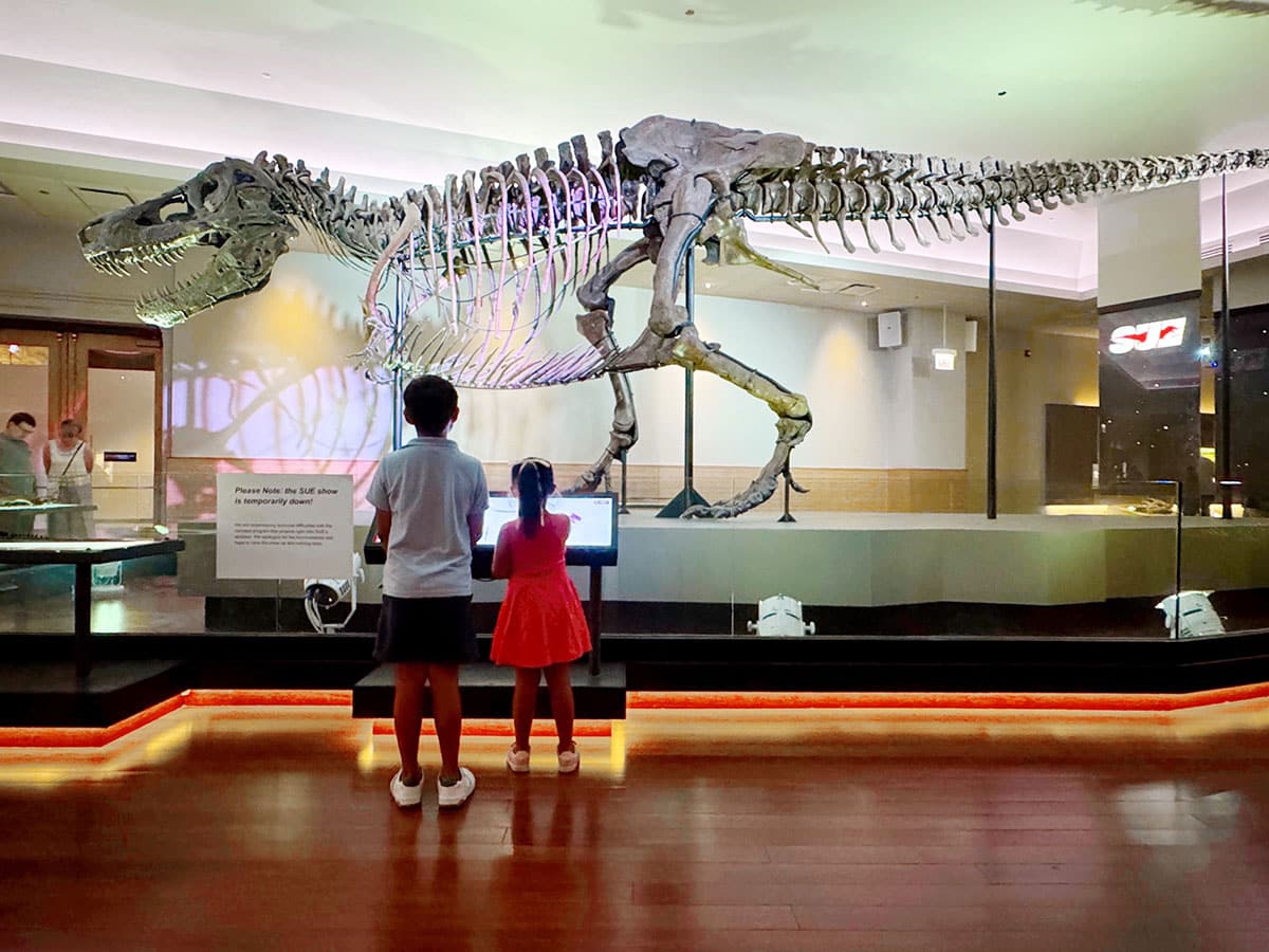 Sue the T-Rex at The Field Museum, Chicago