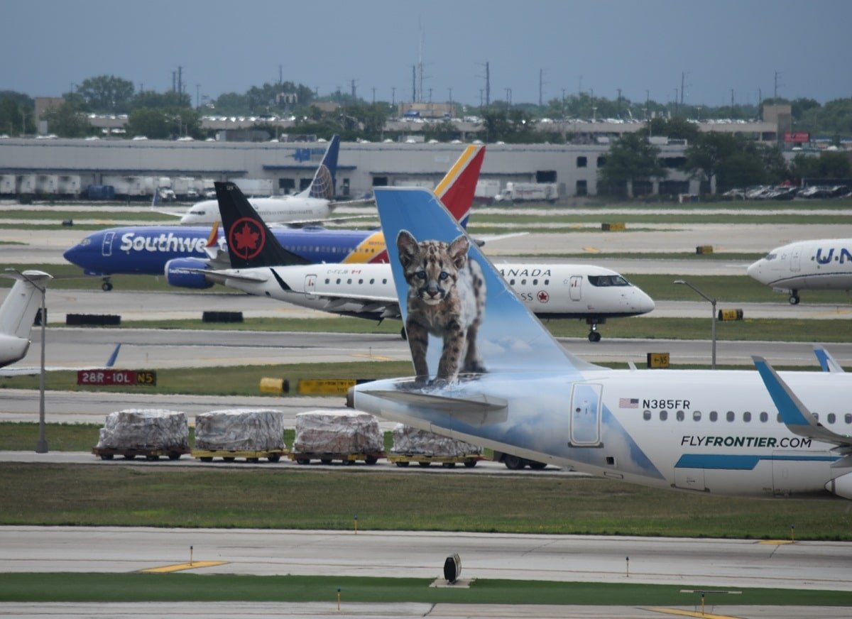 Planes at ORD