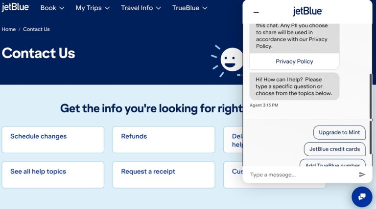Which Airlines Offer Chat Support and How to Find It